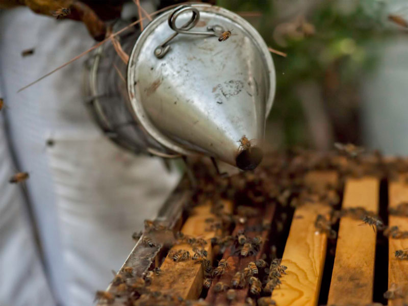 Arıcılık İlaçları